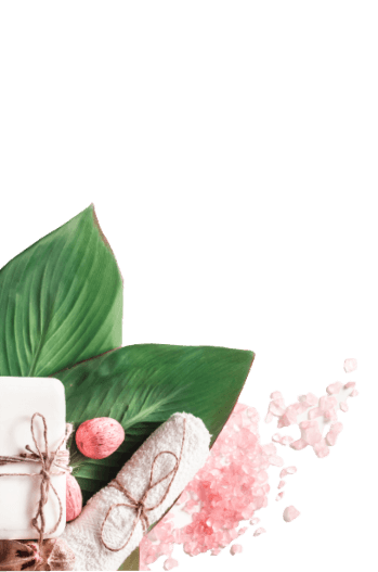 Beauty Meets <br>Wellness